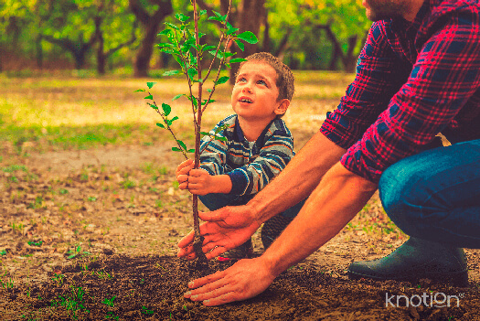 Un niño plantando un árbol